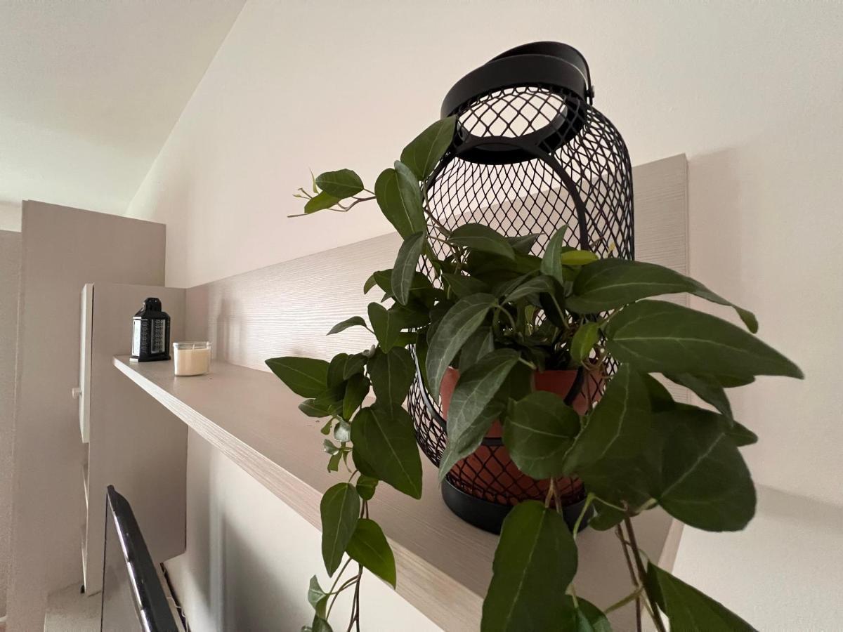 Shelby House Leilighet Senago Eksteriør bilde